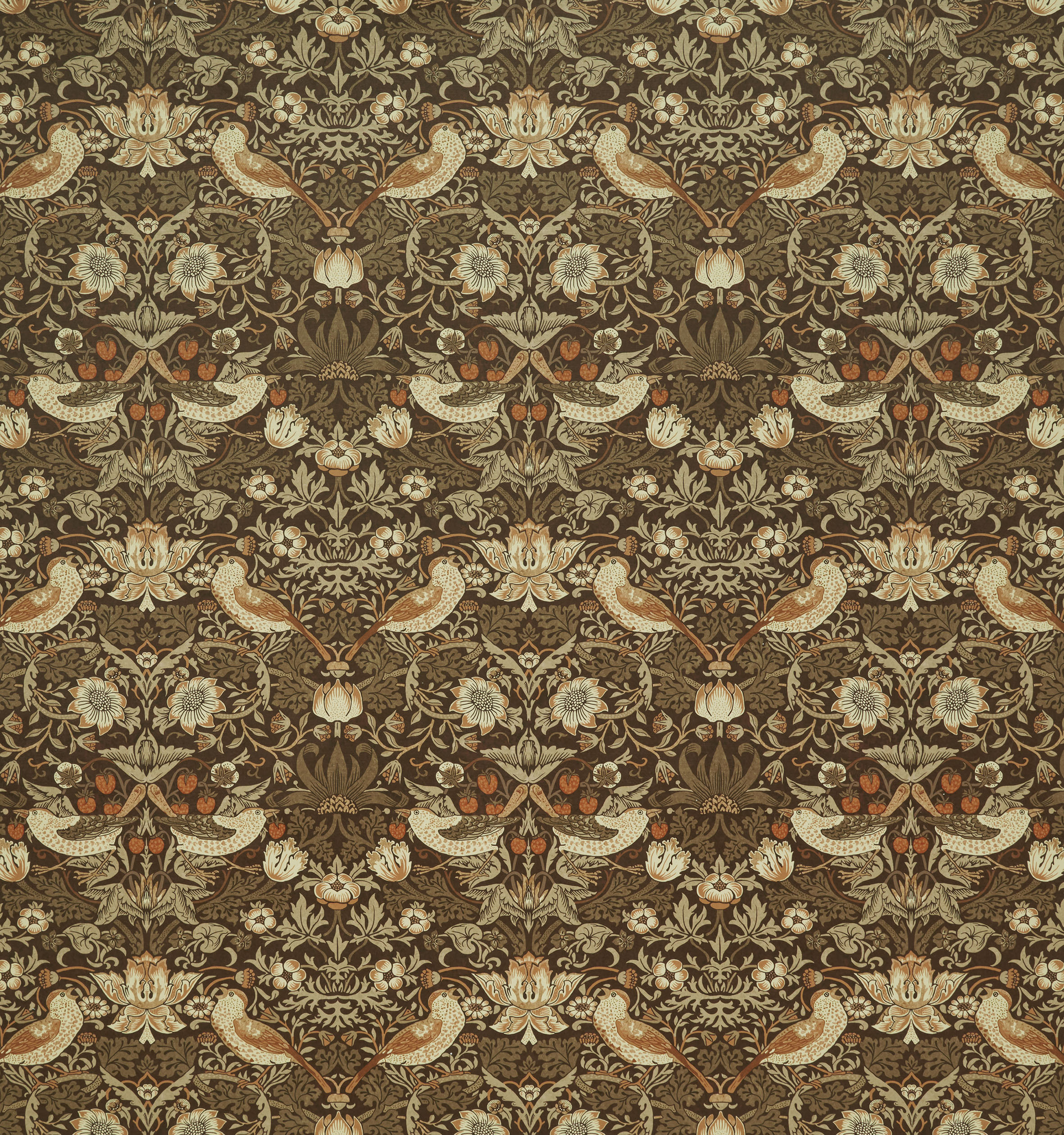 Текстиль William Morris By Ashley Wilde Kelmscott Gardens Vol 1 STRAWBERRY THIEF VELVET ACORN