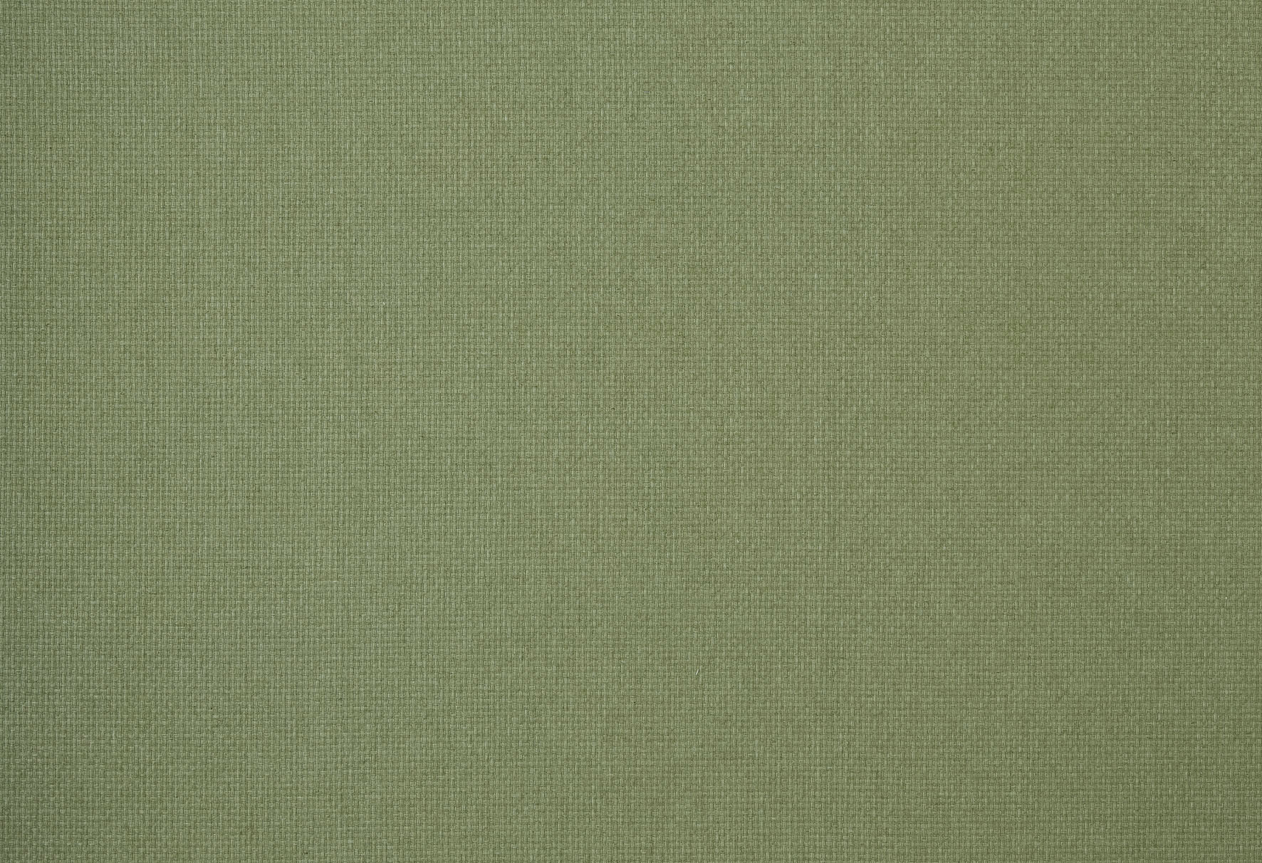 Текстиль William Morris By Ashley Wilde The Forager REED LICHEN